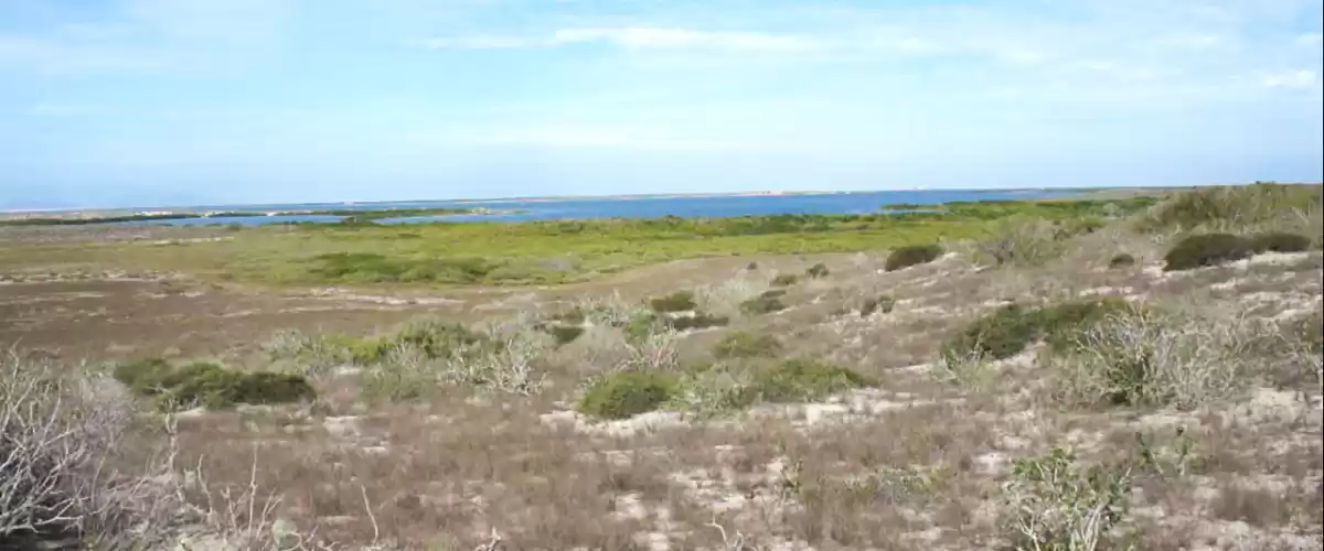 Vista a Bahía Magdalena