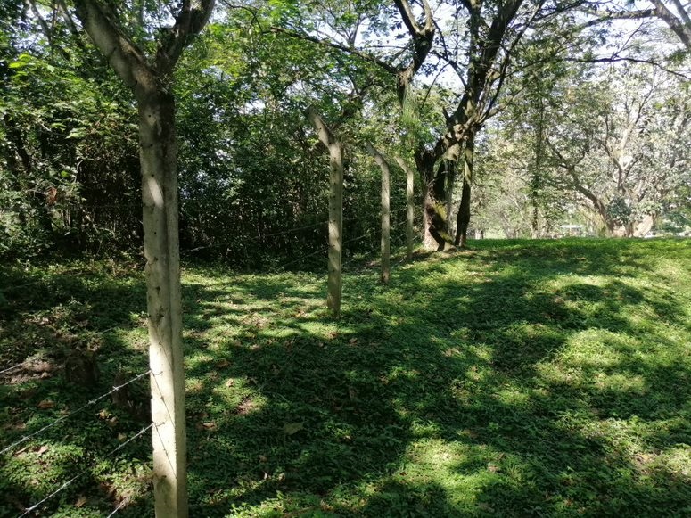 Mega Lote Usos Mixtos,Venta,1623