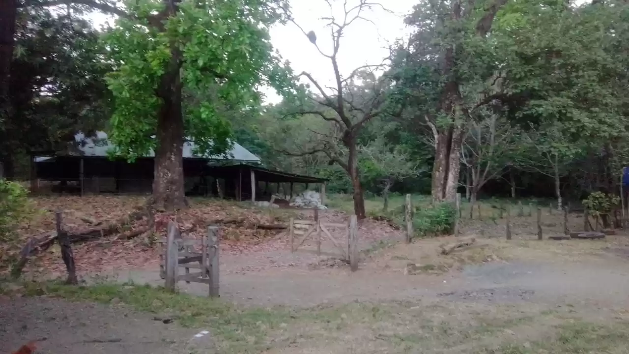 Terreno en venta , Nicoya
Propiedad para desarrollo 