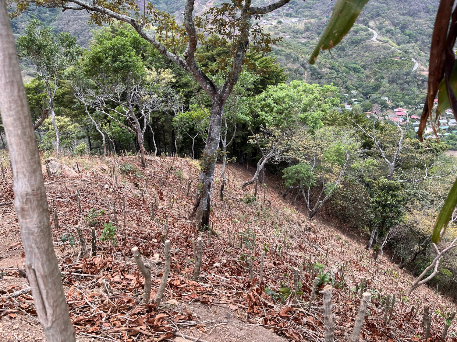  Desarrollo 
Inmobiliario
 Comercial 
 Residencial 
Venta
Santa Ana
Rio de oro
