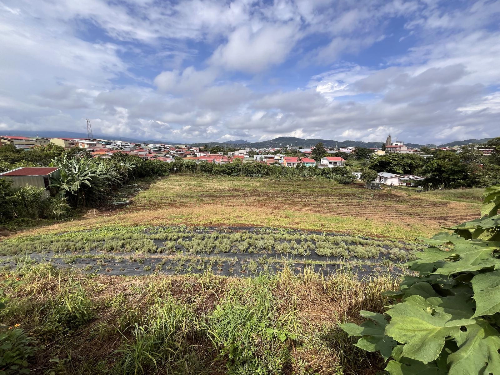 Propiedad
Desarrollo 
Venta 
San Ramón
Residencial