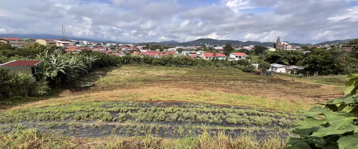 Propiedad
Desarrollo 
Venta 
San Ramón
Residencial