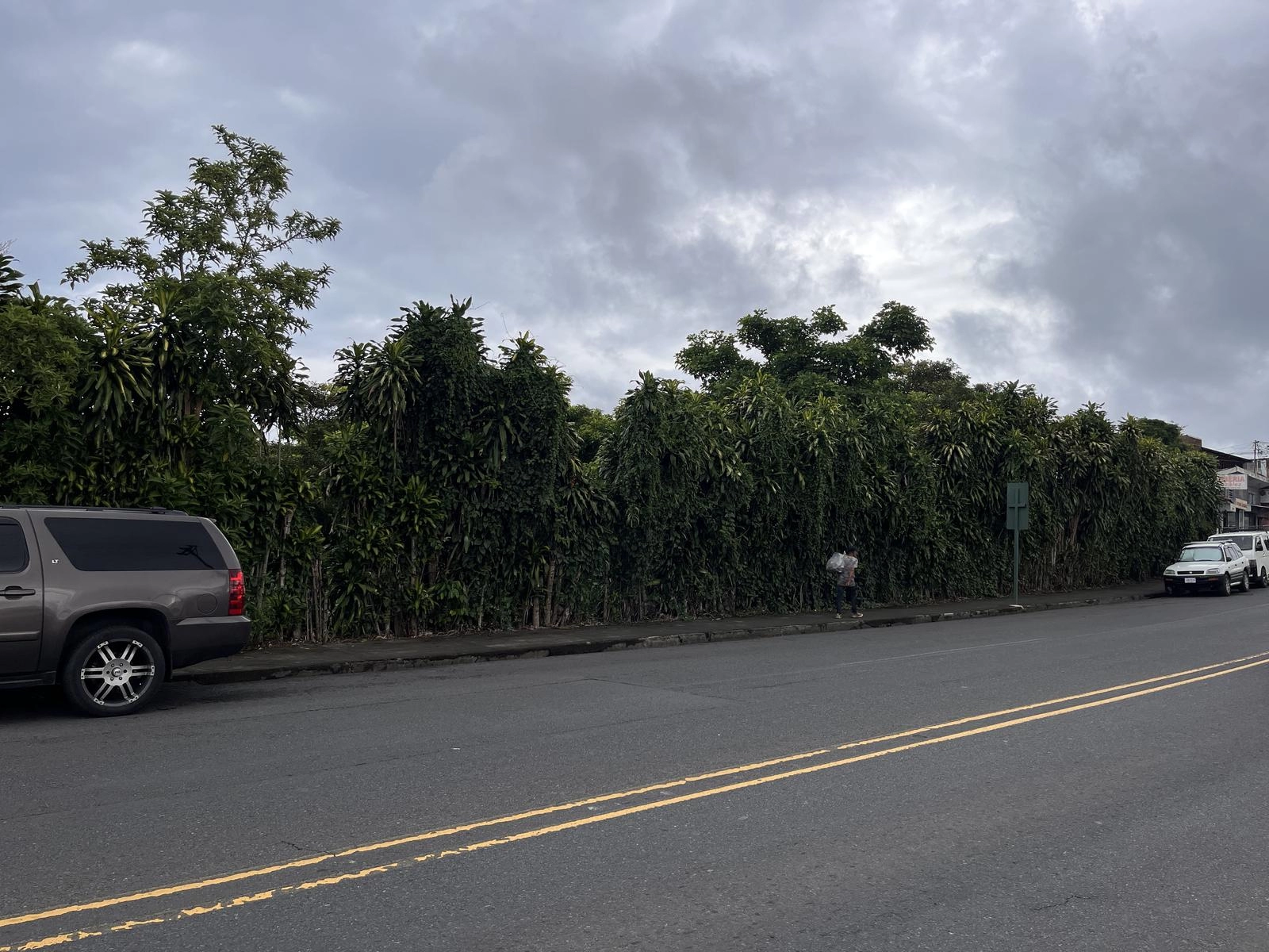 Desarrollo
Comercial
Venta
San Ramón
Alajuela