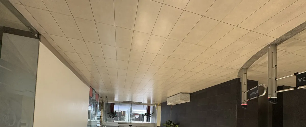 Oficina
Alquiler
Calle Blancos
Corporativo