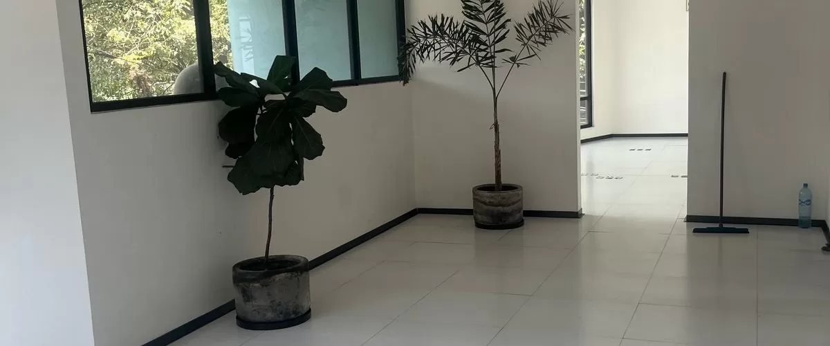 2 Melchor Muzquiz, CDMX, 11850, ,Oficinas/Consultorios/Retail,Renta,Melchor Muzquiz,1770