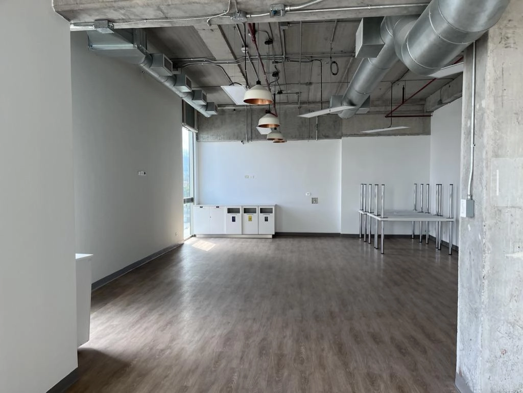 Calle Blancos, San José, Costa Rica, ,Oficinas,Renta,1826