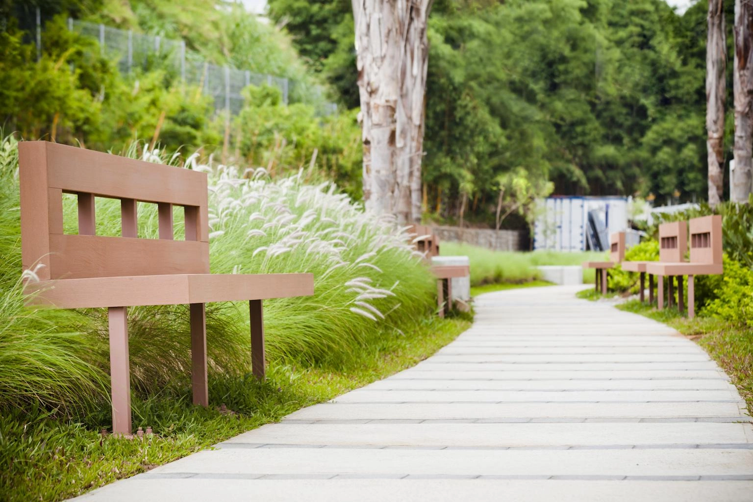 Calle Blancos, San José, Costa Rica, ,Oficinas,Renta,1828