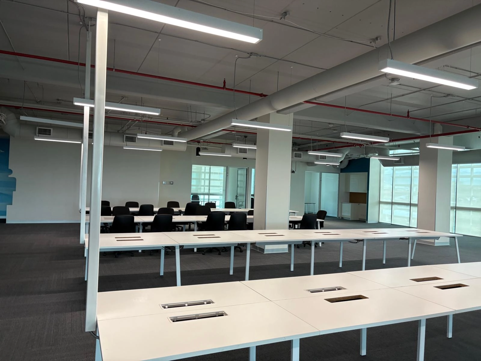 Calle Blancos, San José, Costa Rica, ,Oficinas,Renta,1829