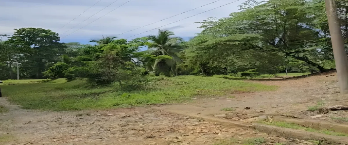 Venta 
Terreno
Limón
Moín
Logística
Industrial
bodegas