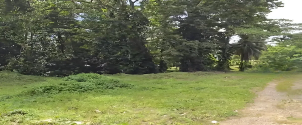 Venta 
Terreno
Limón
Moín
Logística
Industrial
bodegas