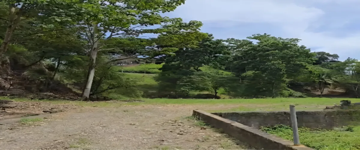 Venta 
Terreno
Limón
Moín
Logística
Industrial
bodegas