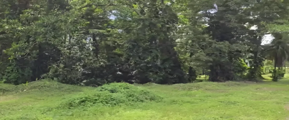 Venta 
Terreno
Limón
Moín
Logística
Industrial
bodegas