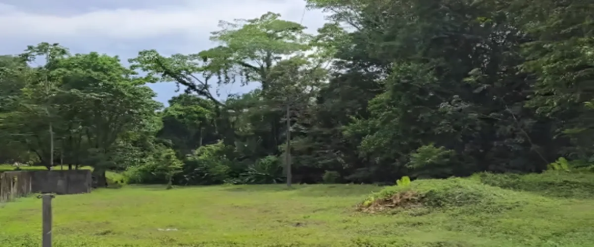 Venta 
Terreno
Limón
Moín
Logística
Industrial
bodegas