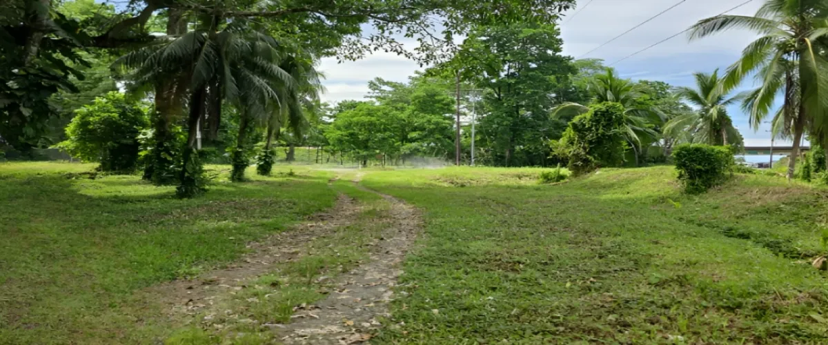 Venta 
Terreno
Limón
Moín
Logística
Industrial
bodegas