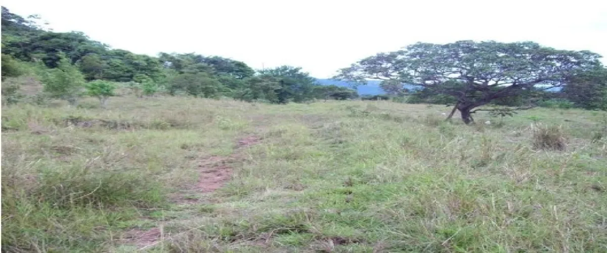 Chame, Panamá, ,Terrenos Vivienda,Venta,1866