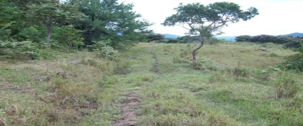 Chame, Panamá, ,Terrenos Vivienda,Venta,1866