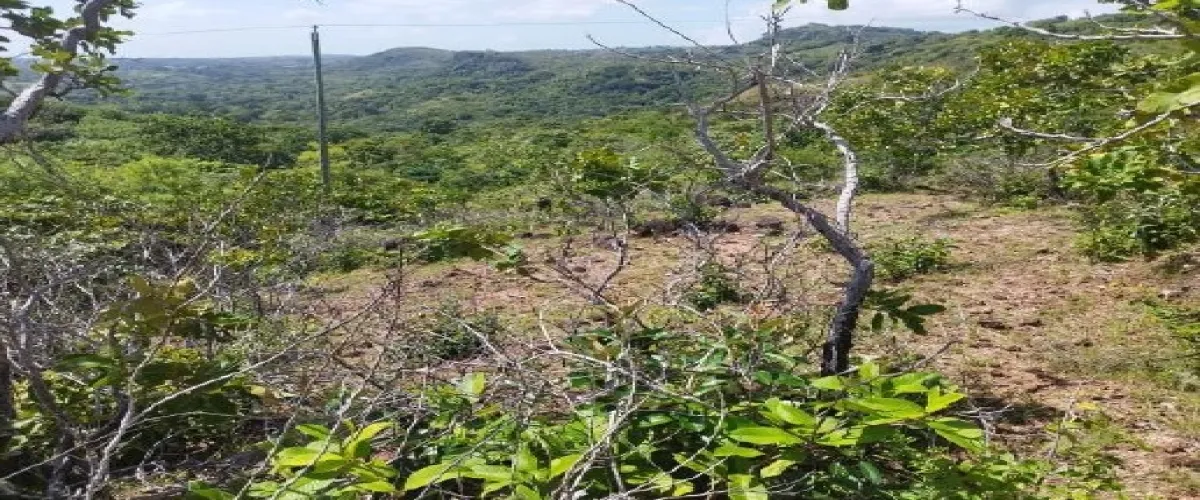 Chame, Panamá, ,Terrenos Vivienda,Venta,1866