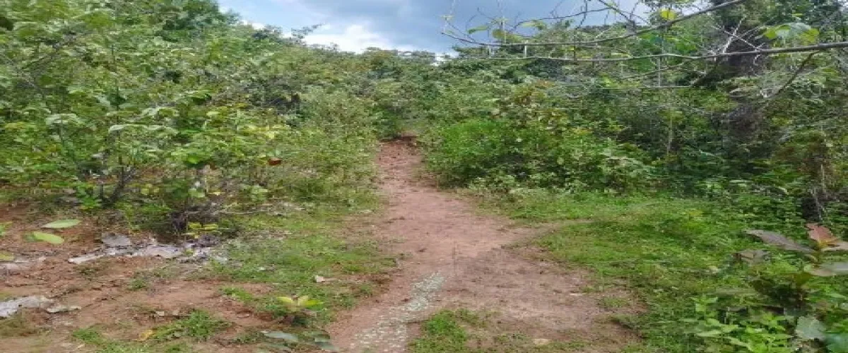 Chame, Panamá, ,Terrenos Vivienda,Venta,1866